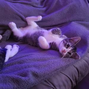 Meet your Posher, Christina